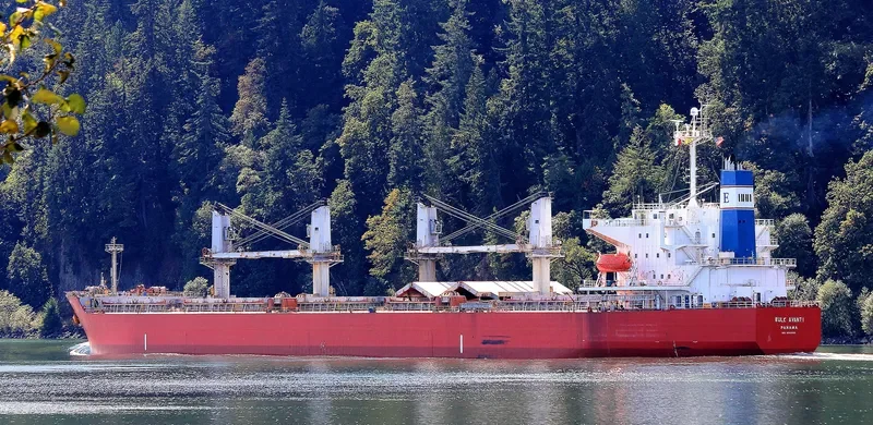 PVT SAPPHIRE Bulk Carrier IMO 9303089 photo 4