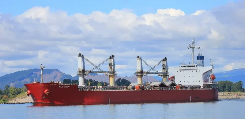 PVT SAPPHIRE Bulk Carrier IMO 9303089 photo 7