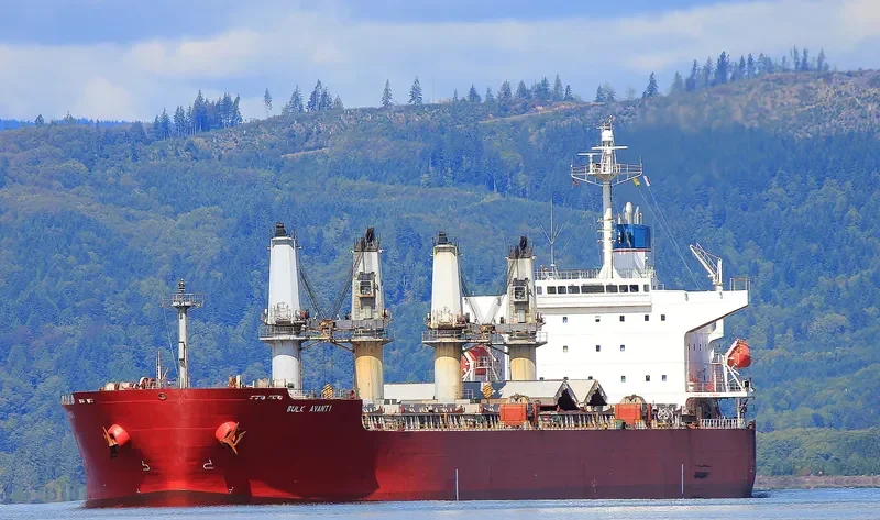 PVT SAPPHIRE Bulk Carrier IMO 9303089 photo 8