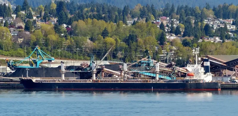 PVT SAPPHIRE Bulk Carrier IMO 9303089 photo 9