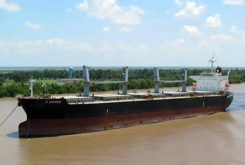 NAFISA JAHAN Bulk Carrier IMO 9303091 photo 2