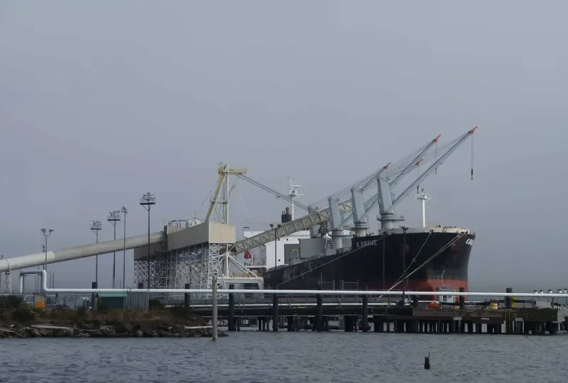 NAFISA JAHAN Bulk Carrier IMO 9303091 photo 7