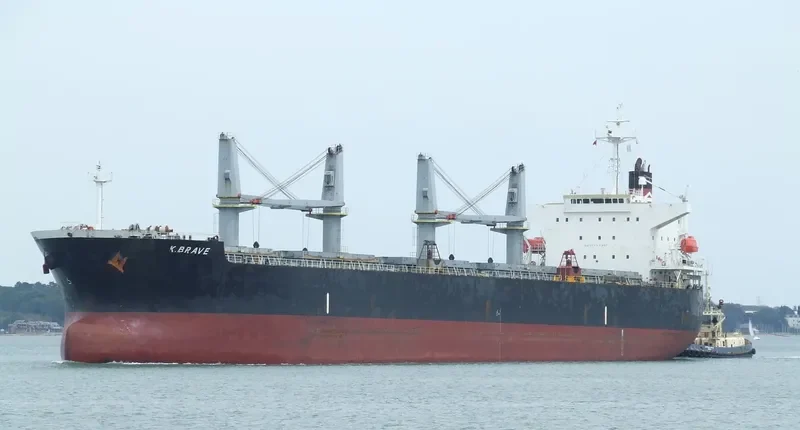 NAFISA JAHAN Bulk Carrier IMO 9303091 photo 8