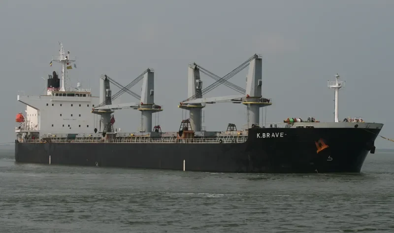 NAFISA JAHAN Bulk Carrier IMO 9303091 photo 9