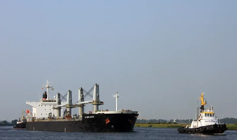 NAFISA JAHAN Bulk Carrier IMO 9303091 photo 10