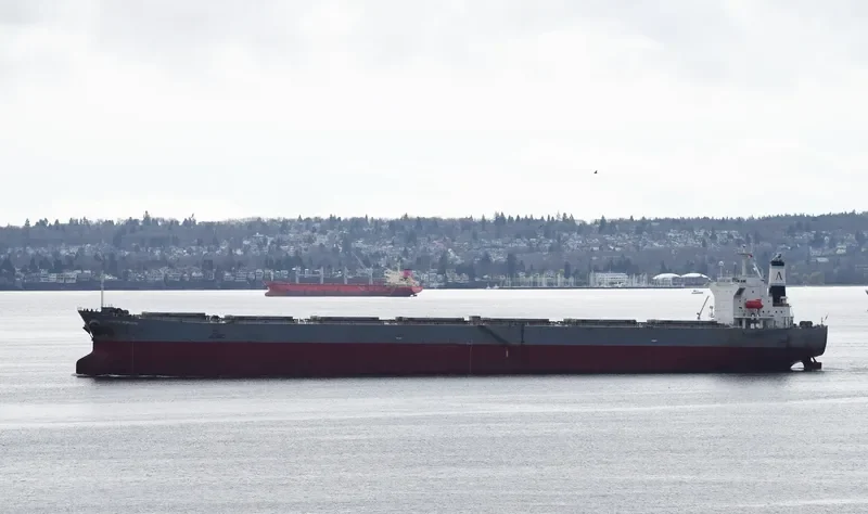 ATLANTIC HORIZON Bulk Carrier IMO 9303106