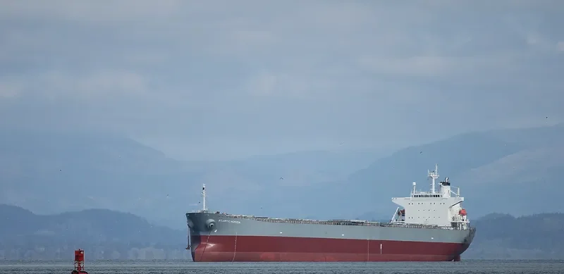 ATLANTIC HORIZON Bulk Carrier IMO 9303106 photo 4
