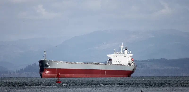 ATLANTIC HORIZON Bulk Carrier IMO 9303106 photo 5