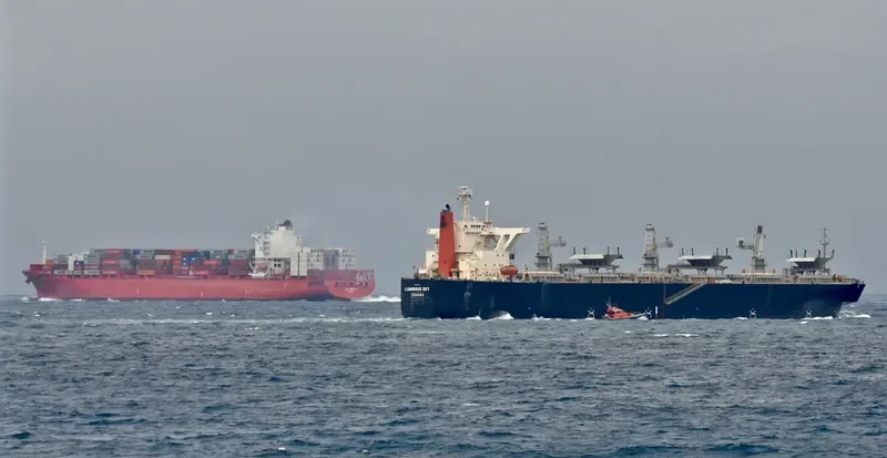 LUMINOUS SKY Bulk Carrier IMO 9303118 photo 4