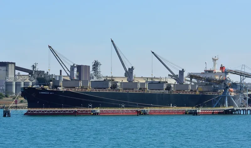 LUMINOUS SKY Bulk Carrier IMO 9303118 photo 6