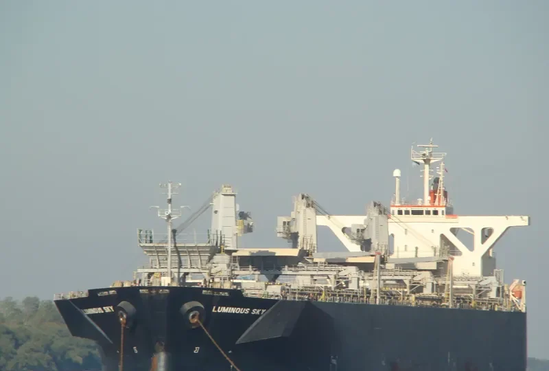LUMINOUS SKY Bulk Carrier IMO 9303118 photo 7