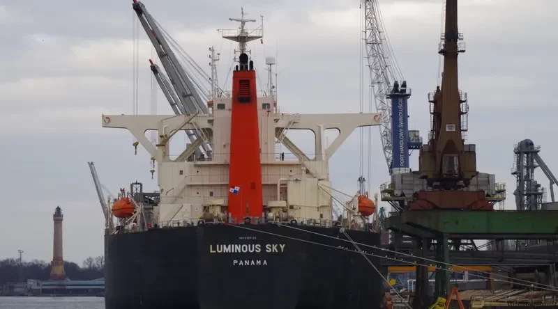 LUMINOUS SKY Bulk Carrier IMO 9303118 photo 8