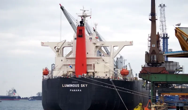 LUMINOUS SKY Bulk Carrier IMO 9303118 photo 9