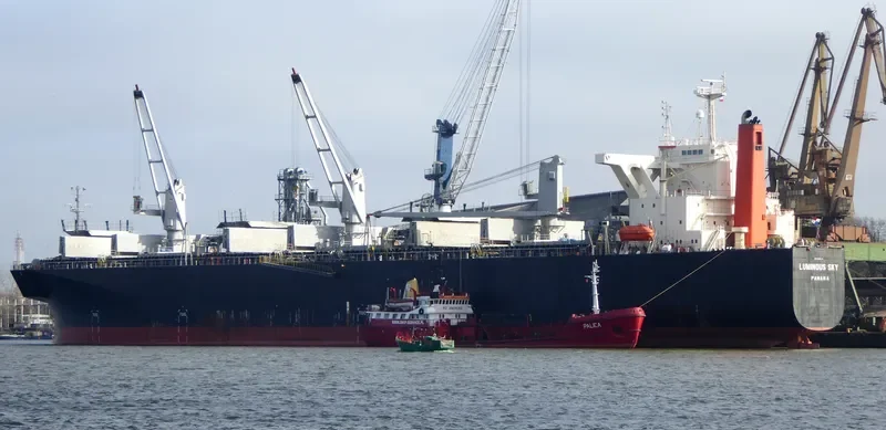 LUMINOUS SKY Bulk Carrier IMO 9303118 photo 10