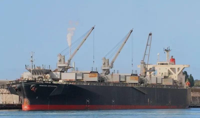 UNI WINNER Bulk Carrier IMO 9303120 photo 3