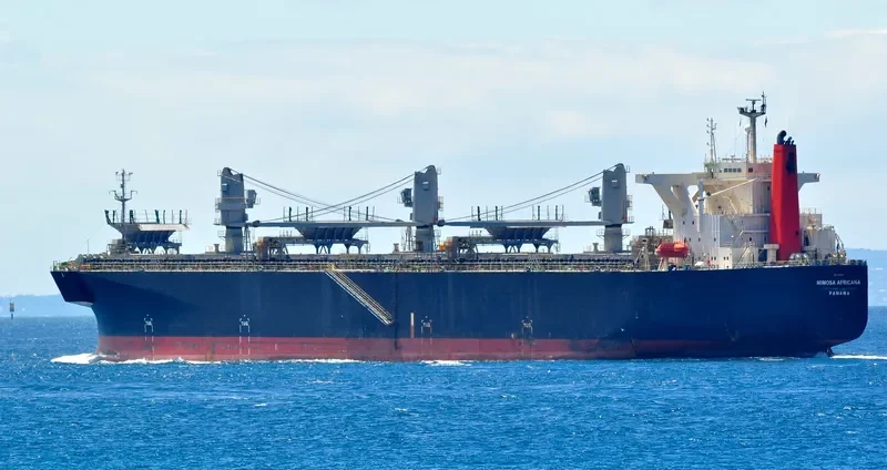 UNI WINNER Bulk Carrier IMO 9303120 photo 4
