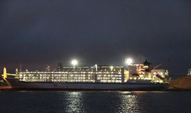 SEA ODYSSEY Bulk Carrier IMO 9303132