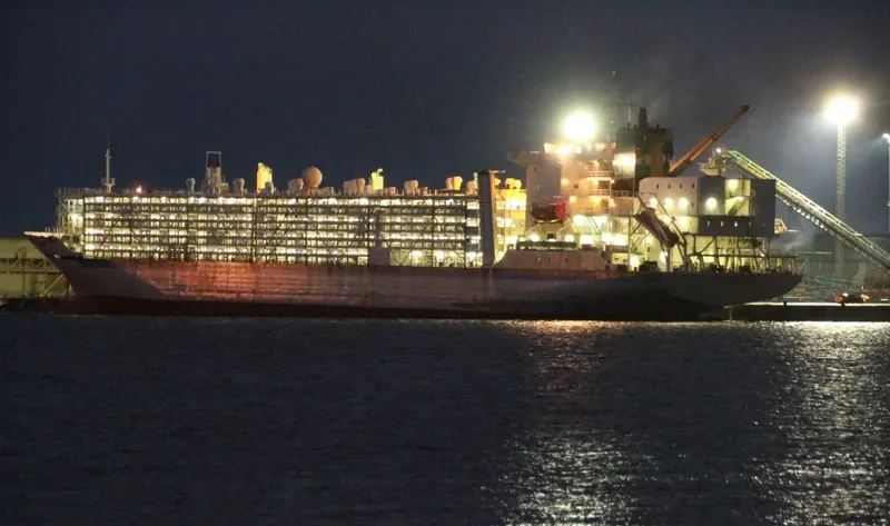 SEA ODYSSEY Bulk Carrier IMO 9303132 photo 2