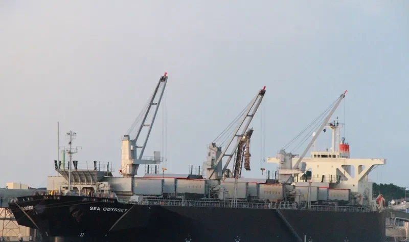 SEA ODYSSEY Bulk Carrier IMO 9303132 photo 3
