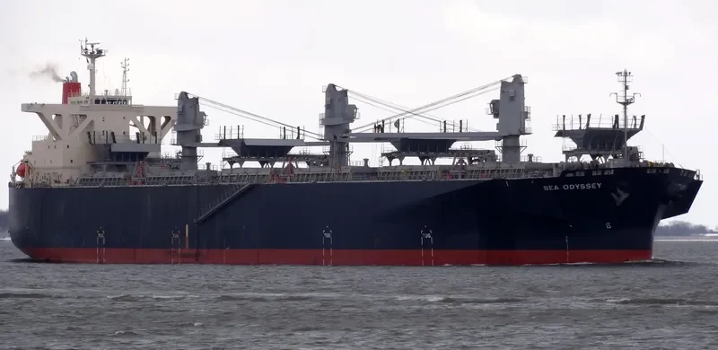 SEA ODYSSEY Bulk Carrier IMO 9303132 photo 6