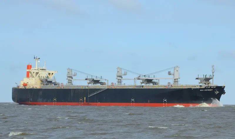 SEA ODYSSEY Bulk Carrier IMO 9303132 photo 8