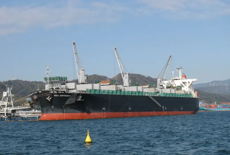 SEA ODYSSEY Bulk Carrier IMO 9303132 photo 9
