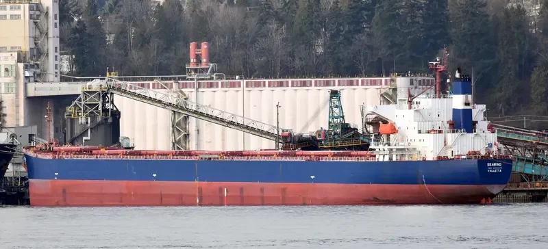 SEAWIND Bulk Carrier IMO 9303144 photo 10