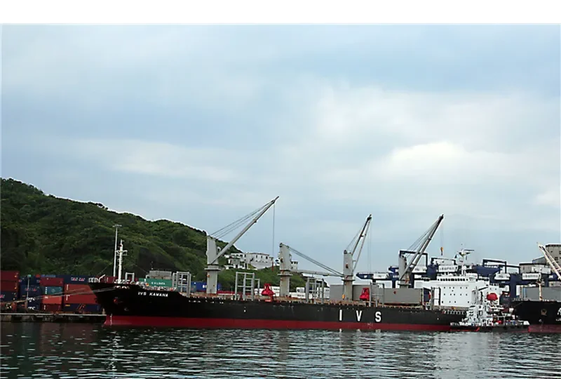 QUEEN LILA Bulk Carrier IMO 9303376