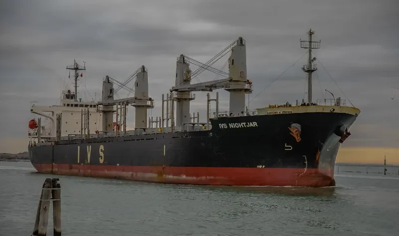 IVS NIGHTJAR General Cargo IMO 9303429 photo 4