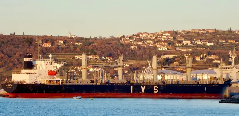 IVS NIGHTJAR General Cargo IMO 9303429 photo 6
