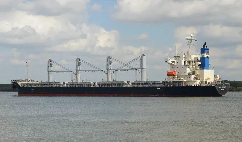 HAI NAM 86 Bulk Carrier IMO 9303601