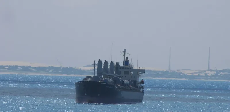 HAI NAM 86 Bulk Carrier IMO 9303601 photo 2