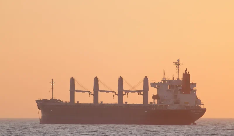 HAI NAM 86 Bulk Carrier IMO 9303601 photo 5