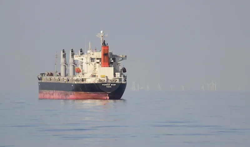HAI NAM 86 Bulk Carrier IMO 9303601 photo 6