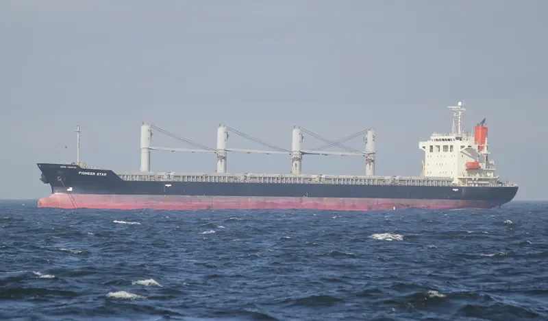 HAI NAM 86 Bulk Carrier IMO 9303601 photo 7