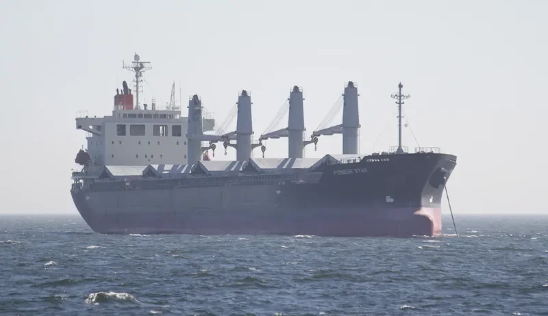 HAI NAM 86 Bulk Carrier IMO 9303601 photo 8