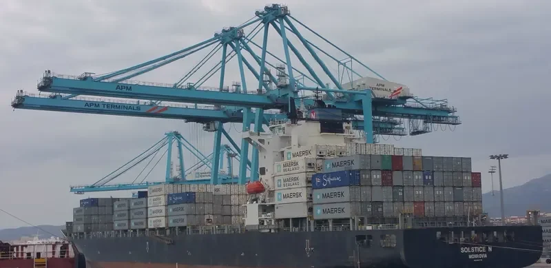 CELSIUS LONDON Container Ship IMO 9303778 photo 7