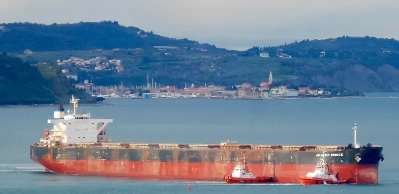 AQUABRIDGE Bulk Carrier IMO 9303833 photo 7