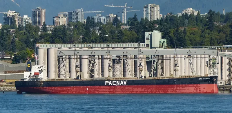 LEON Bulk Carrier IMO 9303871 photo 4