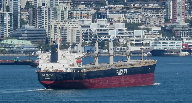 LEON Bulk Carrier IMO 9303871 photo 6
