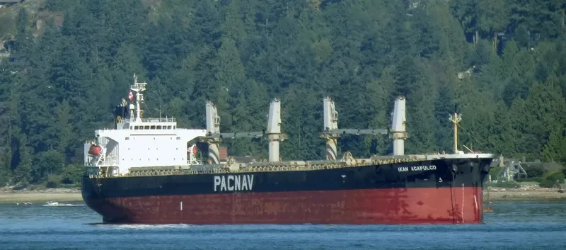 LEON Bulk Carrier IMO 9303871 photo 7