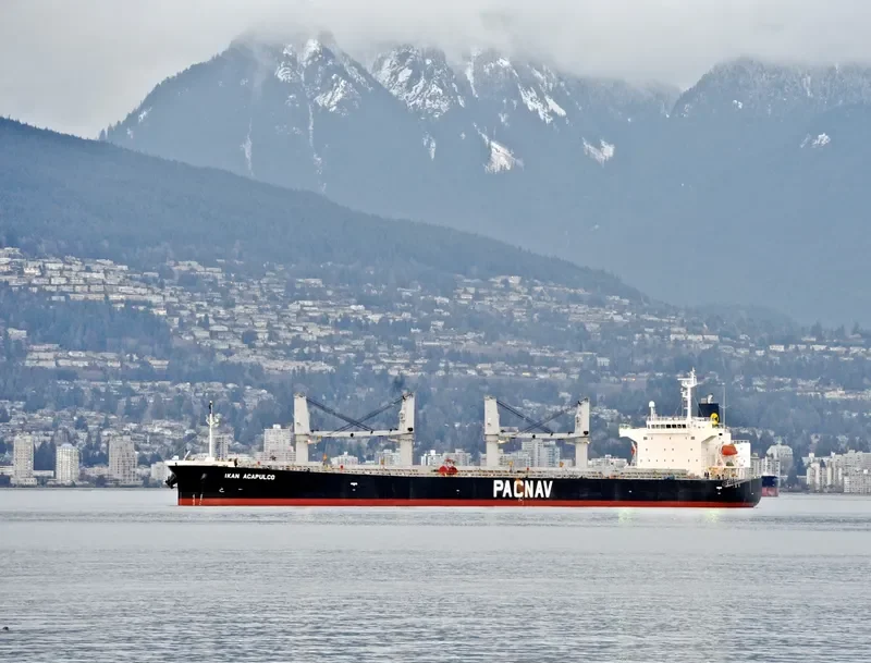 LEON Bulk Carrier IMO 9303871 photo 8