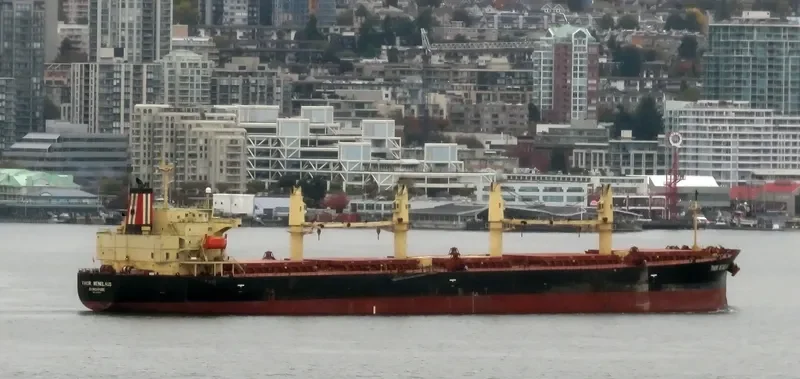 THOR MENELAUS Bulk Carrier IMO 9303924 photo 6