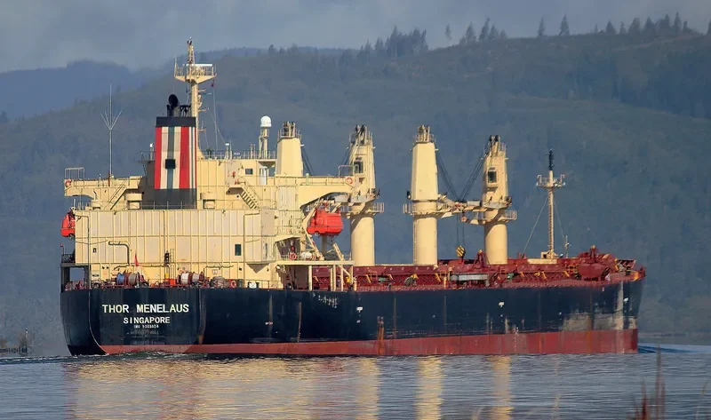 THOR MENELAUS Bulk Carrier IMO 9303924 photo 7