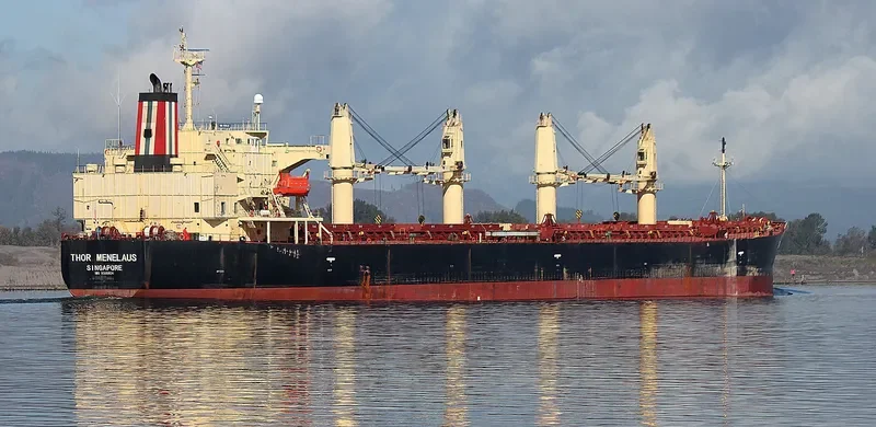 THOR MENELAUS Bulk Carrier IMO 9303924 photo 9