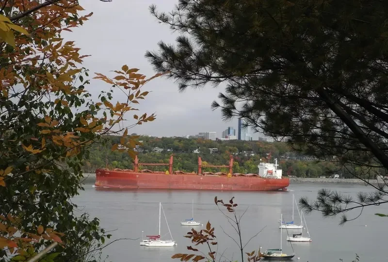 MANNA Bulk Carrier IMO 9304100