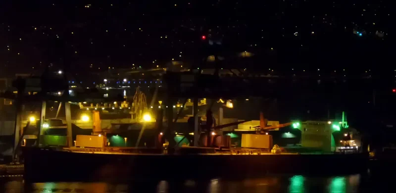 MANNA Bulk Carrier IMO 9304100 photo 7