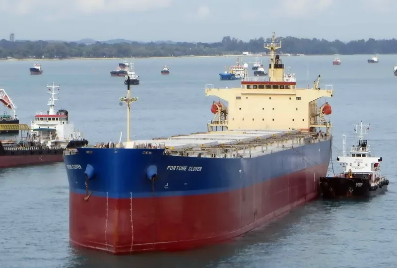 KING LOONG Bulk Carrier IMO 9304124 photo 3
