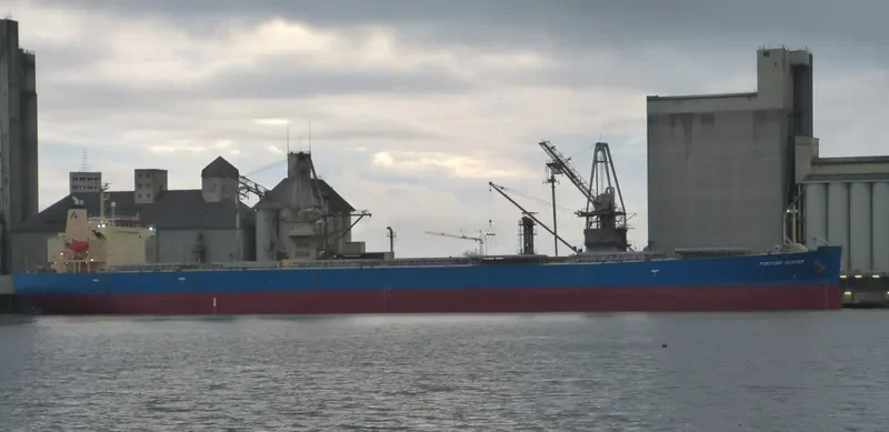 KING LOONG Bulk Carrier IMO 9304124 photo 6