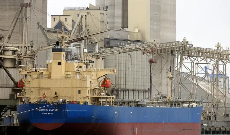 KING LOONG Bulk Carrier IMO 9304124 photo 7
